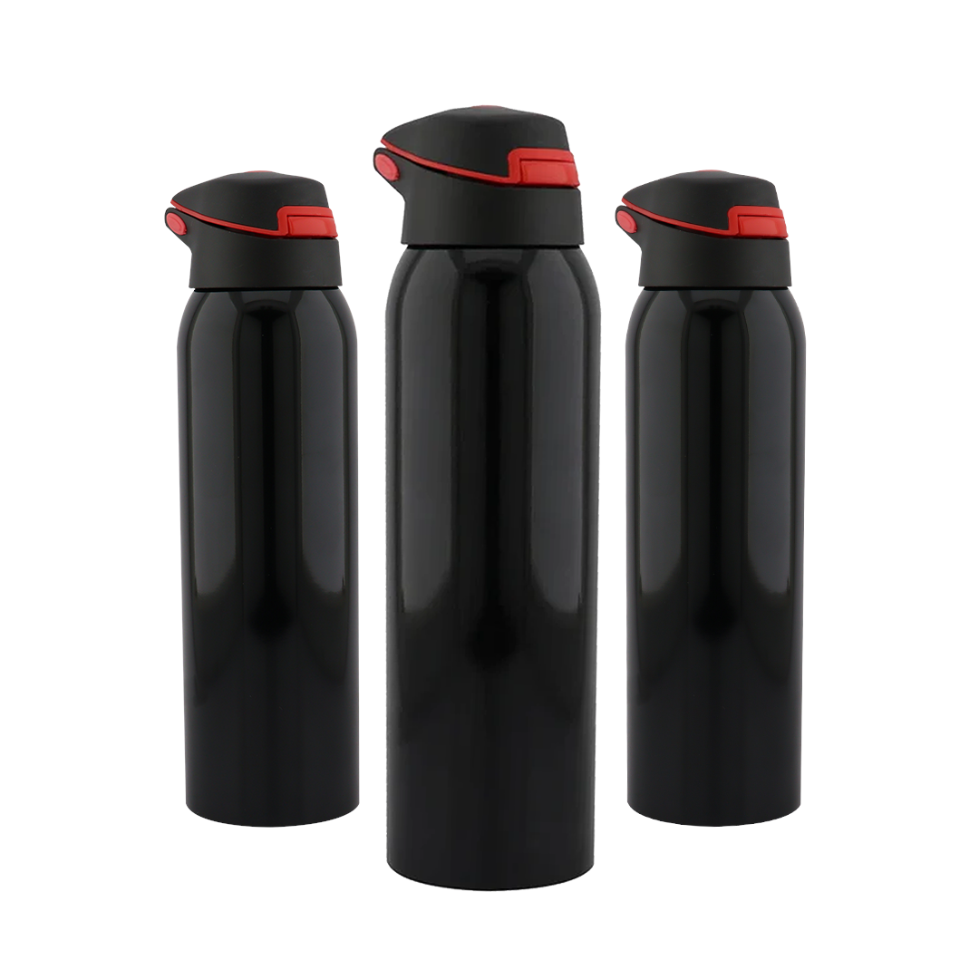 Termo Pro 6