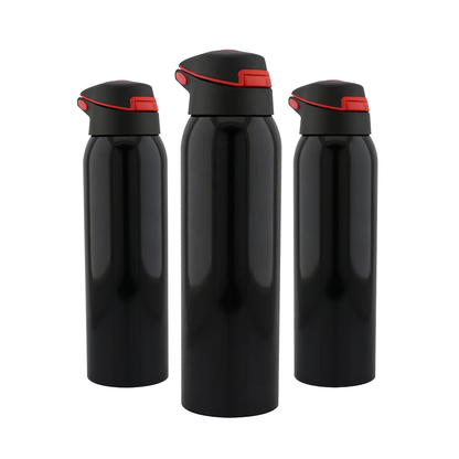 Termo Pro 6