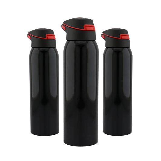 Termo Pro 6